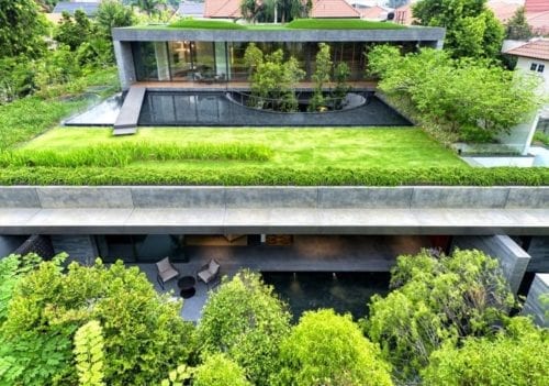 wool felt green roof